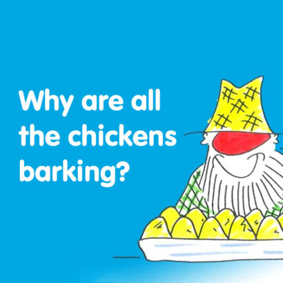 Why are all the chickens barking?